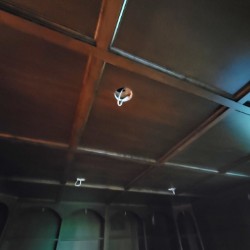 Wood paneled ceiling with holes drilled for recessed lighting 