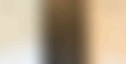 Ceiling height espresso stained center tower cabinet flanked by dual vanities in primary bathroom