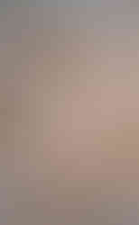 Warm sand colors of artisan tile walls in shower