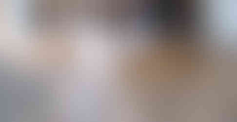 Tough waterproof engineered weathered gray flooring tough enough for doggy nails