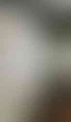 Close-up of center island with full overlay Shaker style doors and gold tone pulls in the New Year New Kitchen by Barrett Home Renovations