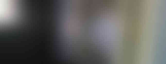 Ceilings and walls mudded and pebble stone surround in shower