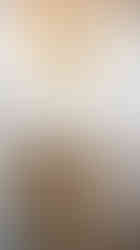 Half bath has retro steam-punk gold toned rail base and gold faucet designed by Barrett Home Renovations