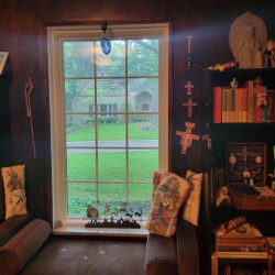 Colonial grid style picture window with white trim