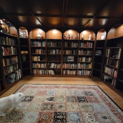 Fully curated library with artwork in lighted upper shelves and book categorized throughout