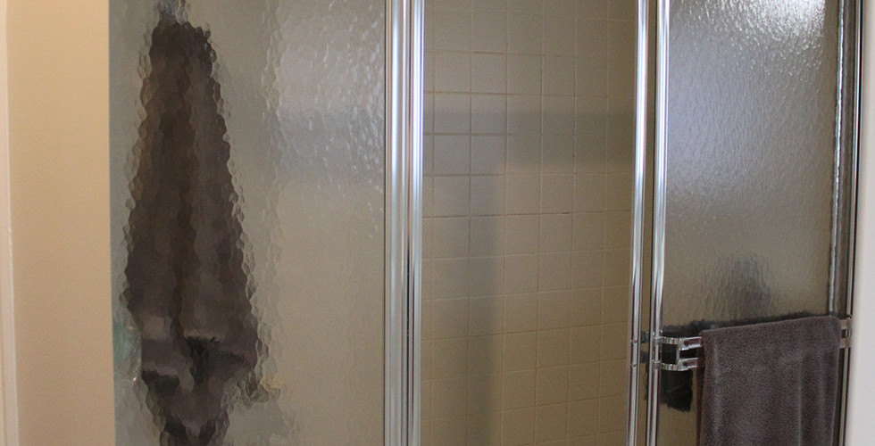 Underwhelming shower door and frame