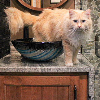 Elvis the cat hops out of artist glass vessel sink a top sandy brown waterfall granite countertop