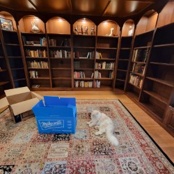 Newly cleaned area rug replaced in new library, and books being unpacked and curated