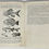 Thumbnail: "Annual Report of the Smithsonian Institution, 1934"