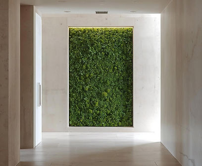 Empty hall with moss wall.jpg