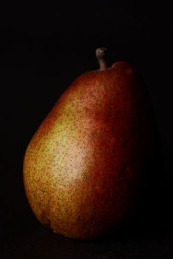 Fruit
