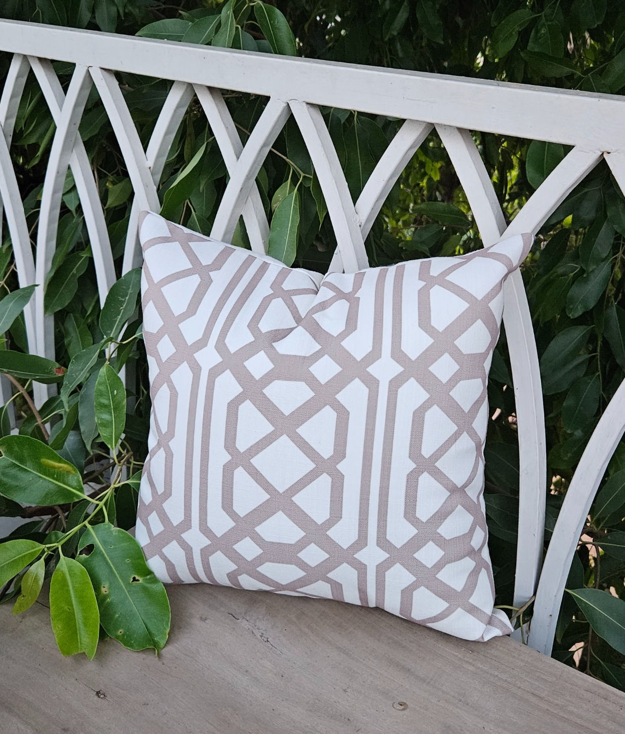 Classic Grey and White Color Palette