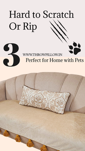 Tan with Gold Tassels Sofa Cover