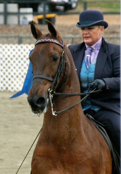 Screenshot 2025-12-28 at 9.53.34 PM.png