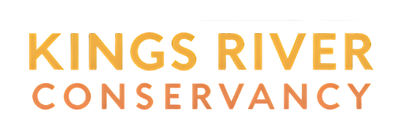 Text Only No Background.png