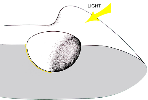 1e_catarcat_s.png