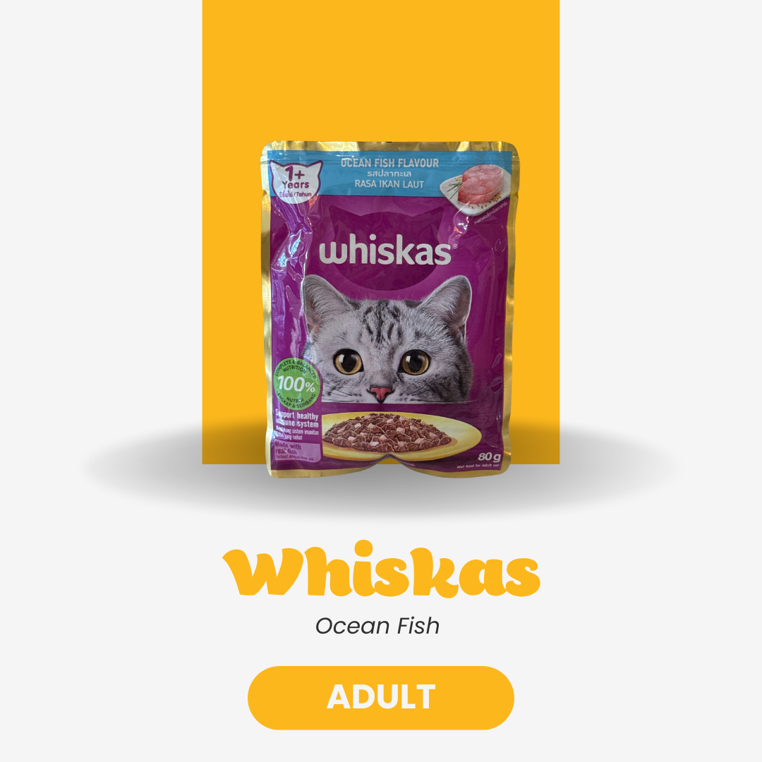 Whiskas Wet Cat Food – Ocean Fish (Adult, 80g)