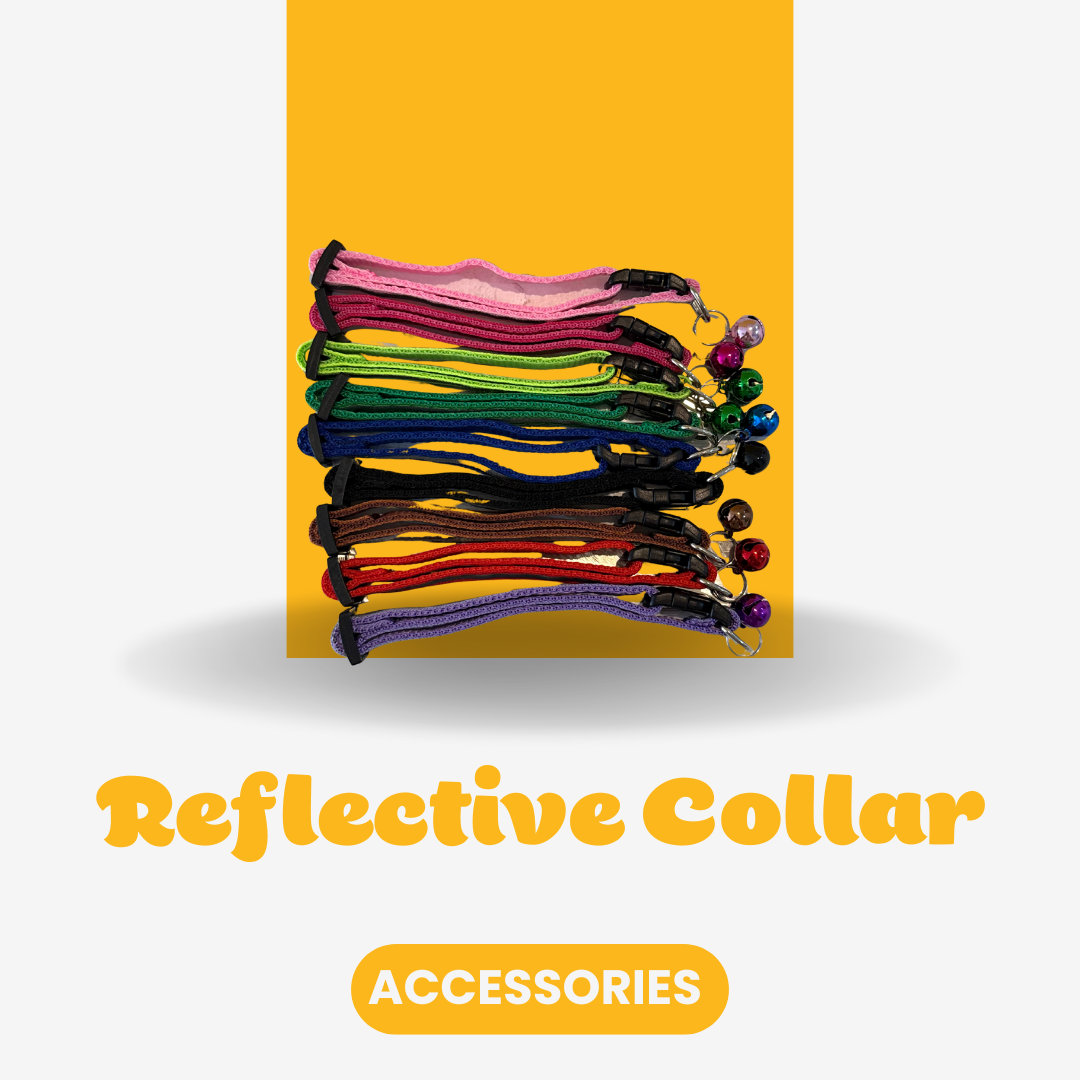 Reflective Collar