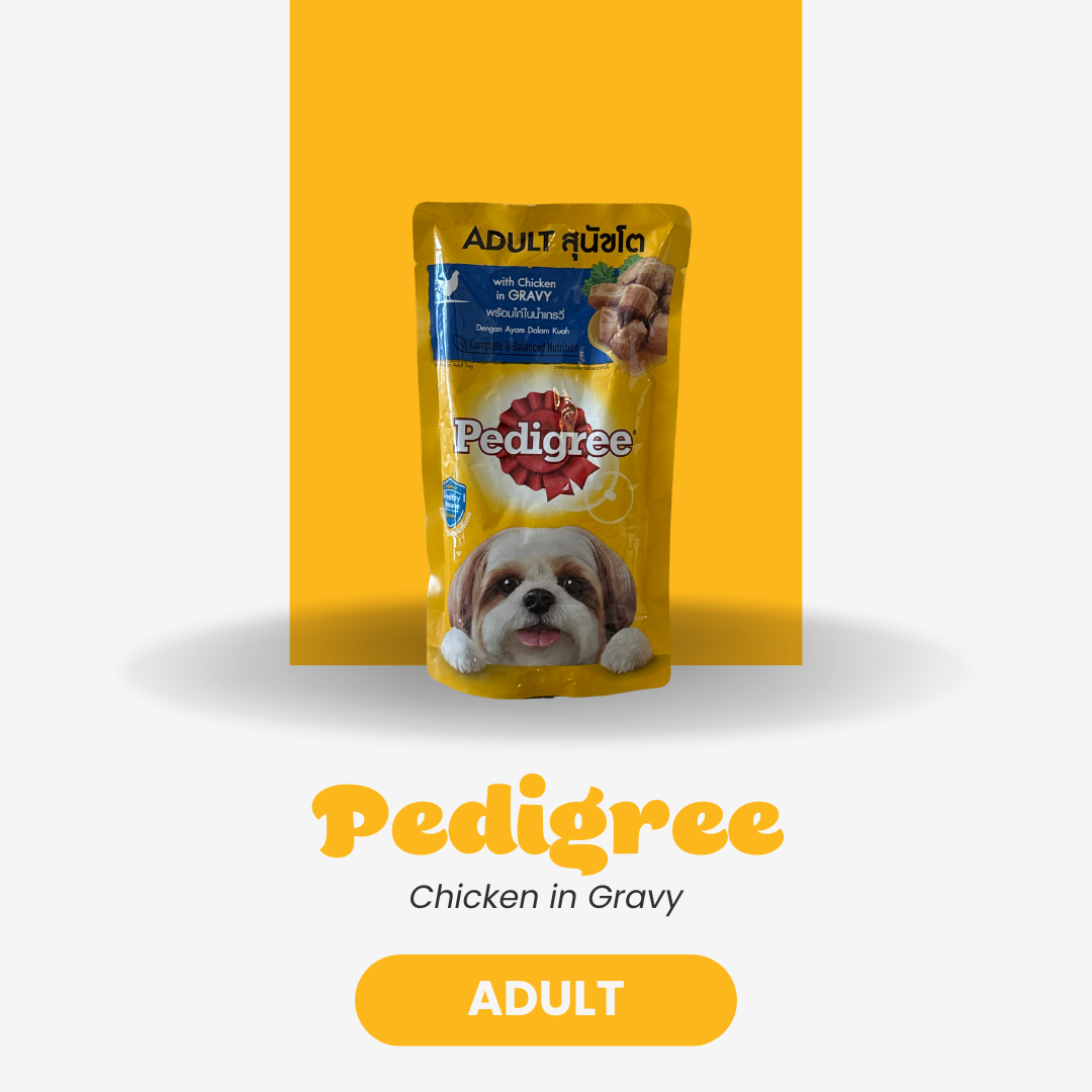Pedigree Wet Dog Food – Chicken in Gravy (Adult, 130g)