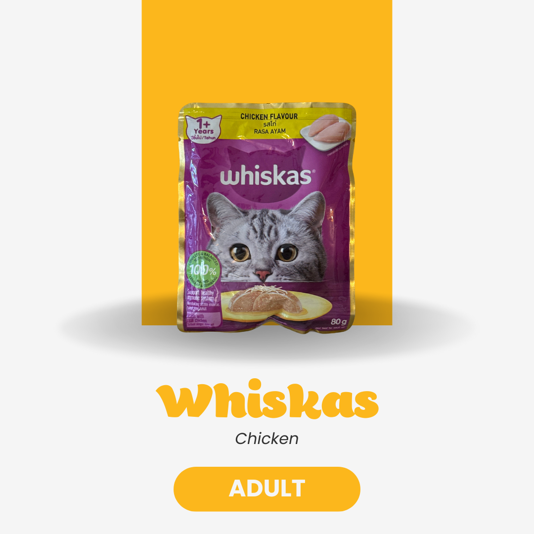 Whiskas Wet Cat Food – Chicken (Adult, 80g)