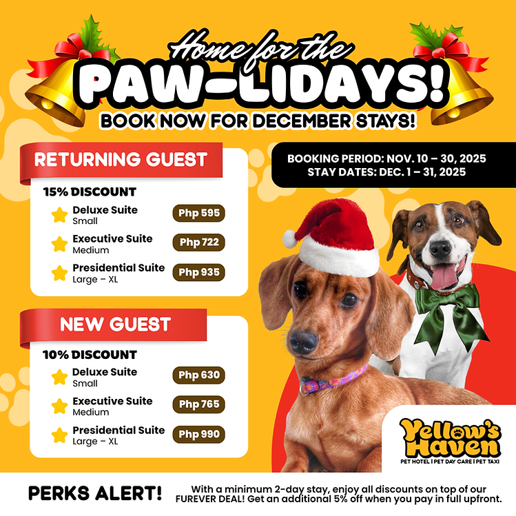 Paw-lidays promo.png