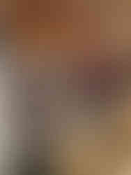 marche de noel Laiz 2025