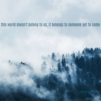 Seahorses - the world doesn't belong to us, it belongs to someone yet to come - Album art
