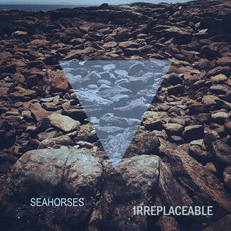 Seahorses - irreplaceable - Album art
