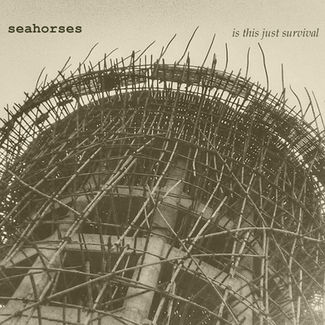 Seahorses - is this just survival
- Album art
