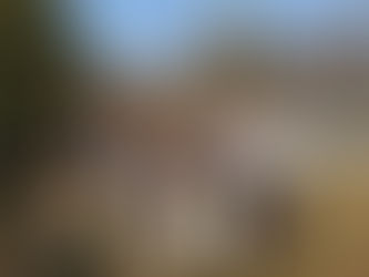 🌳📚 Lekcja w terenie. Uczymy się od natury!