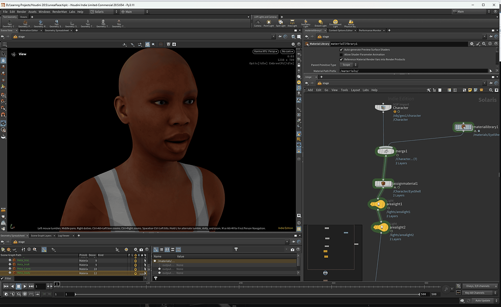 Working with Metahumans in Houdini