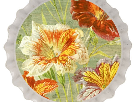 Romans 9 God's Mercy