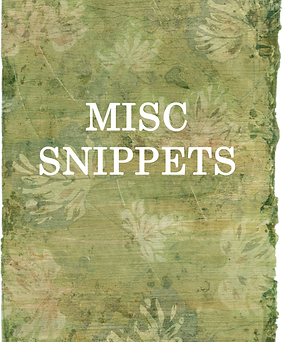 MISCSNIPPETS.png