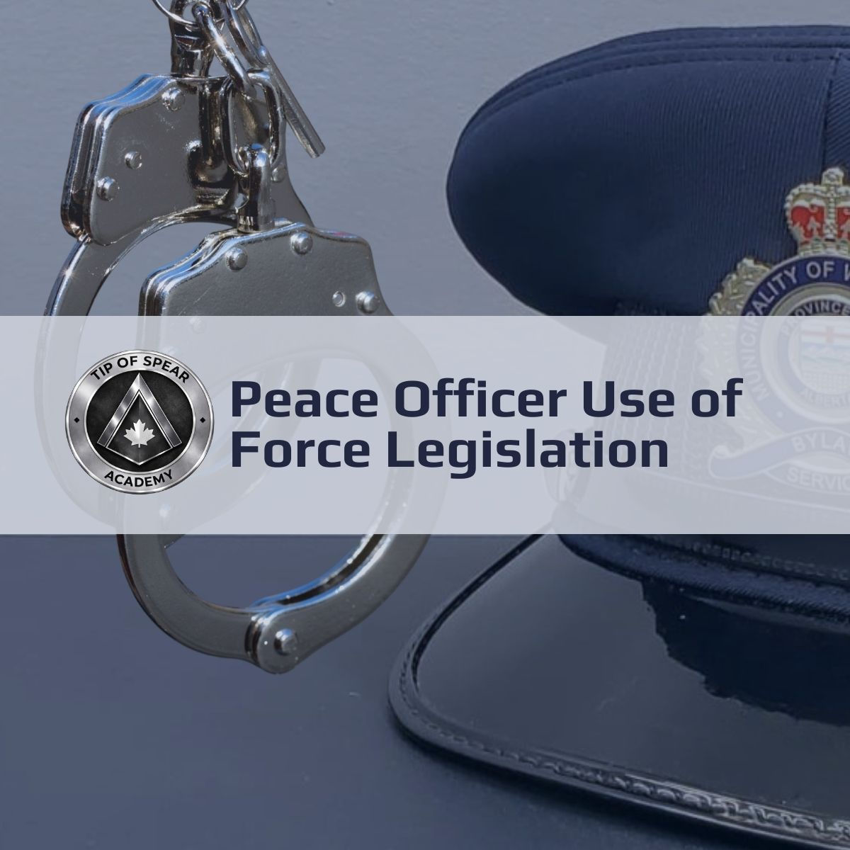 Peace Officer Use of Force Legislation
