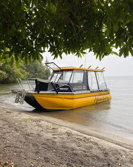 Taxicat on misty day.JPG