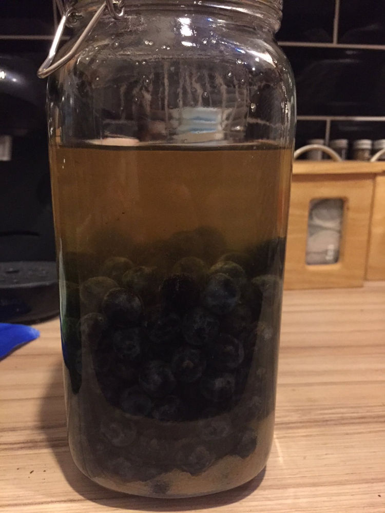 Homemade Sloe Gin in 4 steps