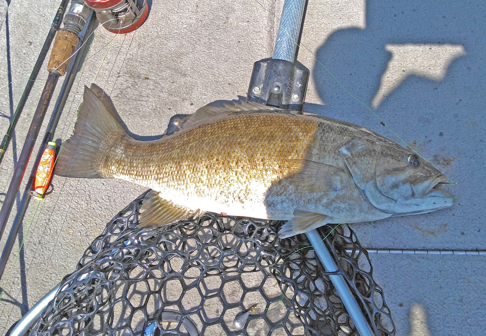 Kentucky Lake Fishing Report