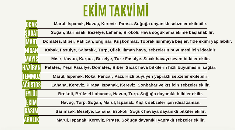 Takvim