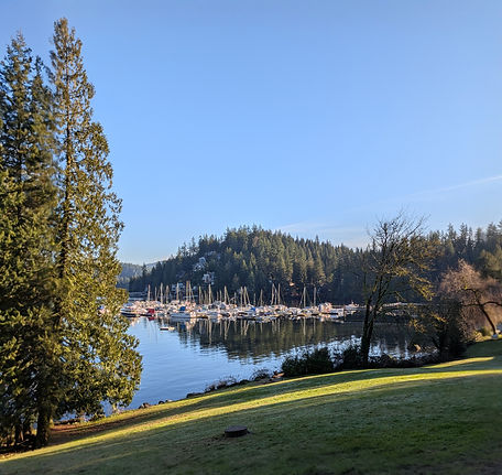 Deep Cove water_edited.jpg