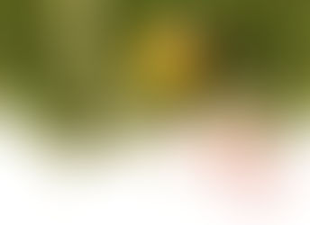 The Holiday Season 'Tis Here!