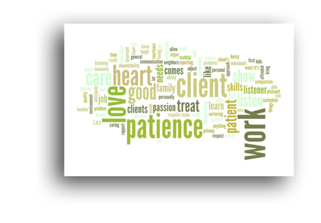 Emanuel Homecare Services, Health aides, home aides
