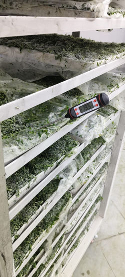 MYSTICA REFRIGERATION