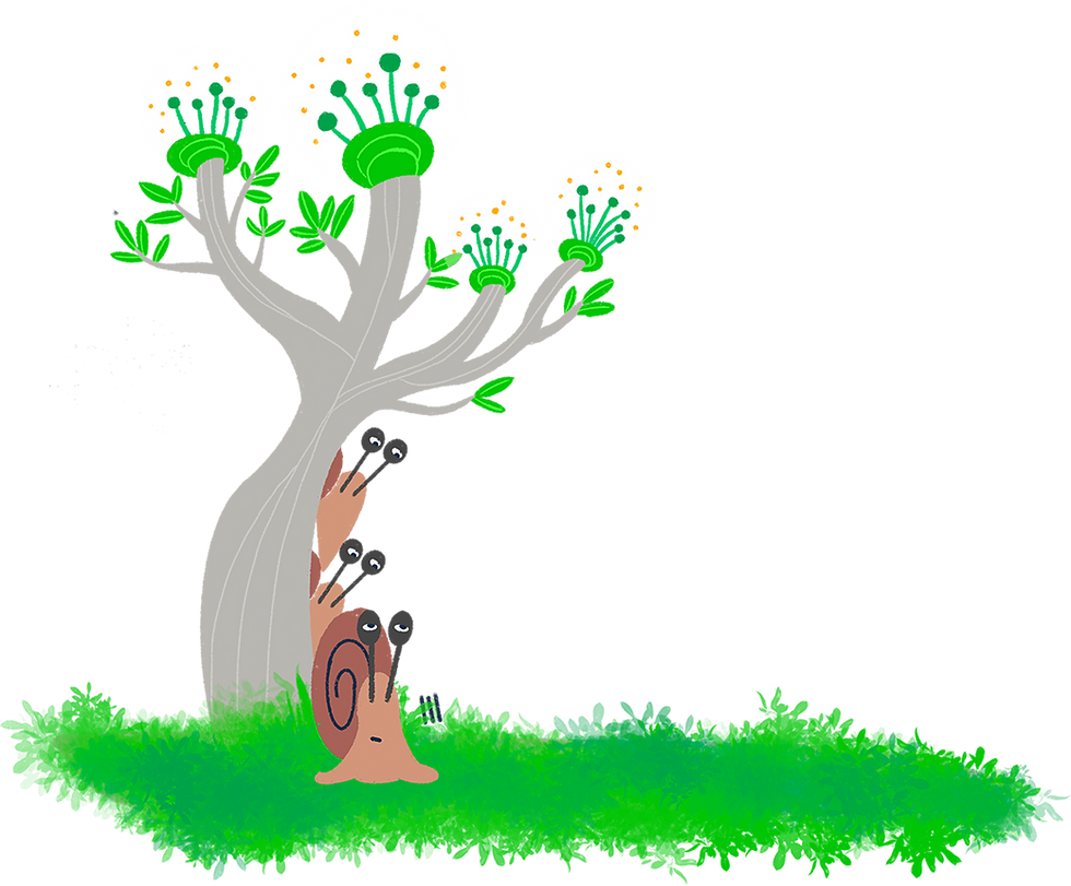 Website_Gaia_5e.png