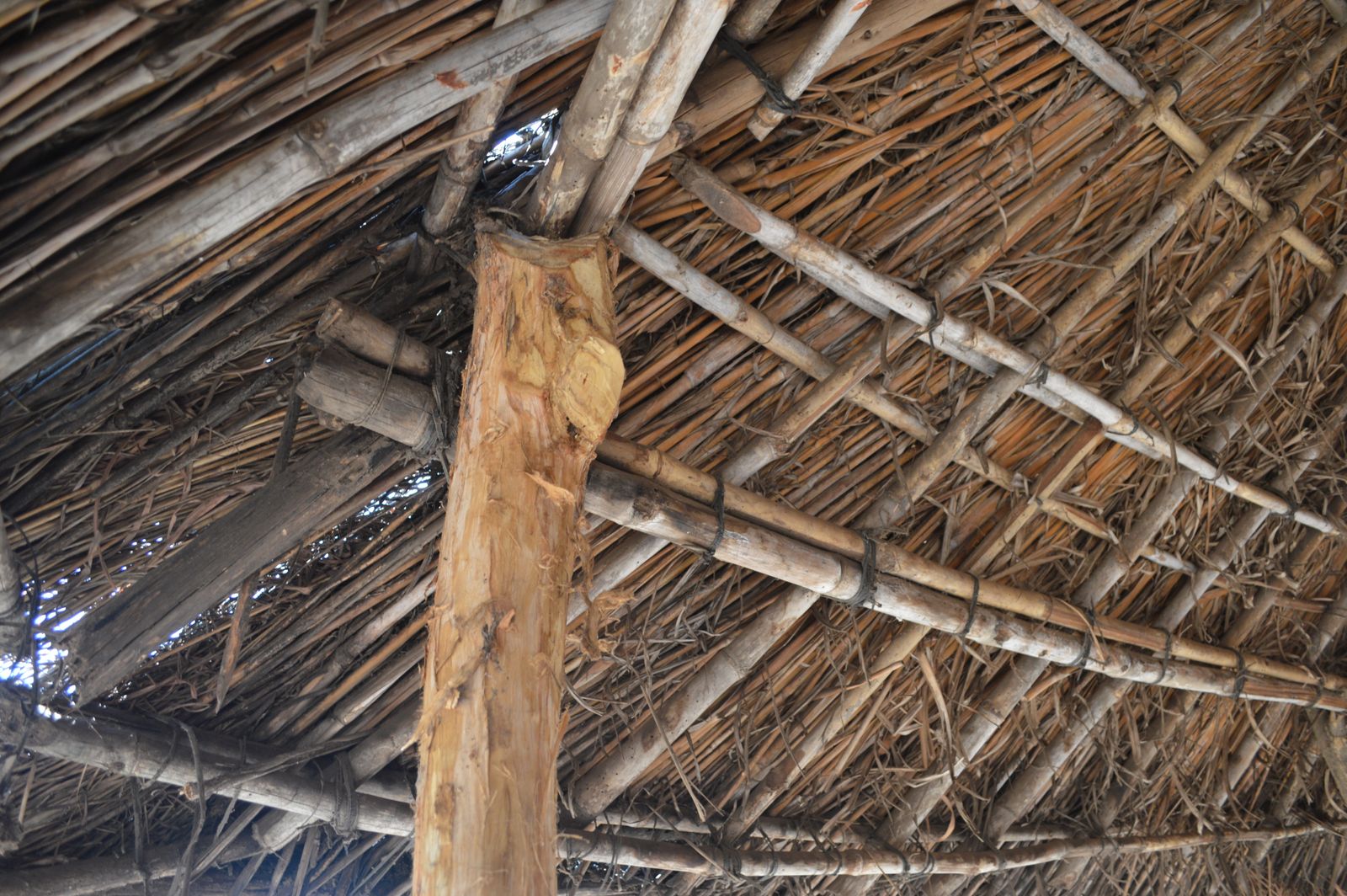 Mpale, Mangochi (6).JPG