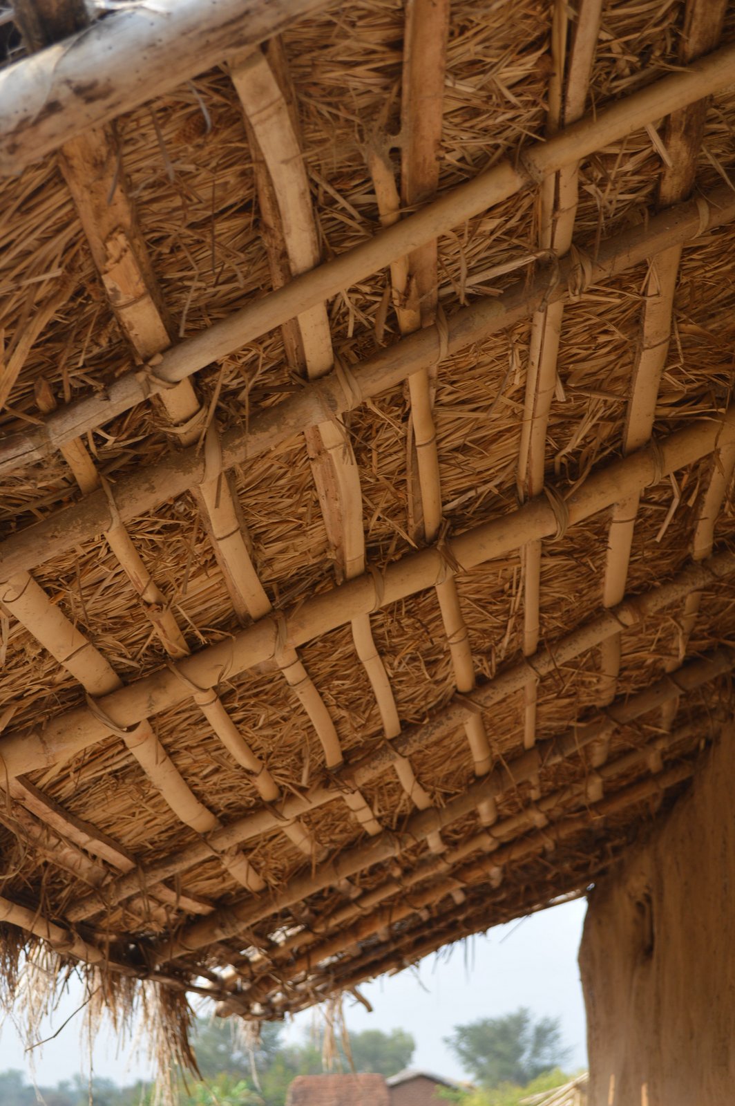 Mwenalupembe, Karonga (18).JPG