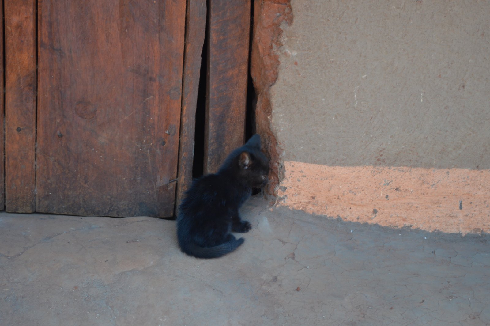 Mwantothera, Nzimba (53).JPG