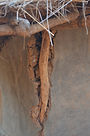 malawi architecture