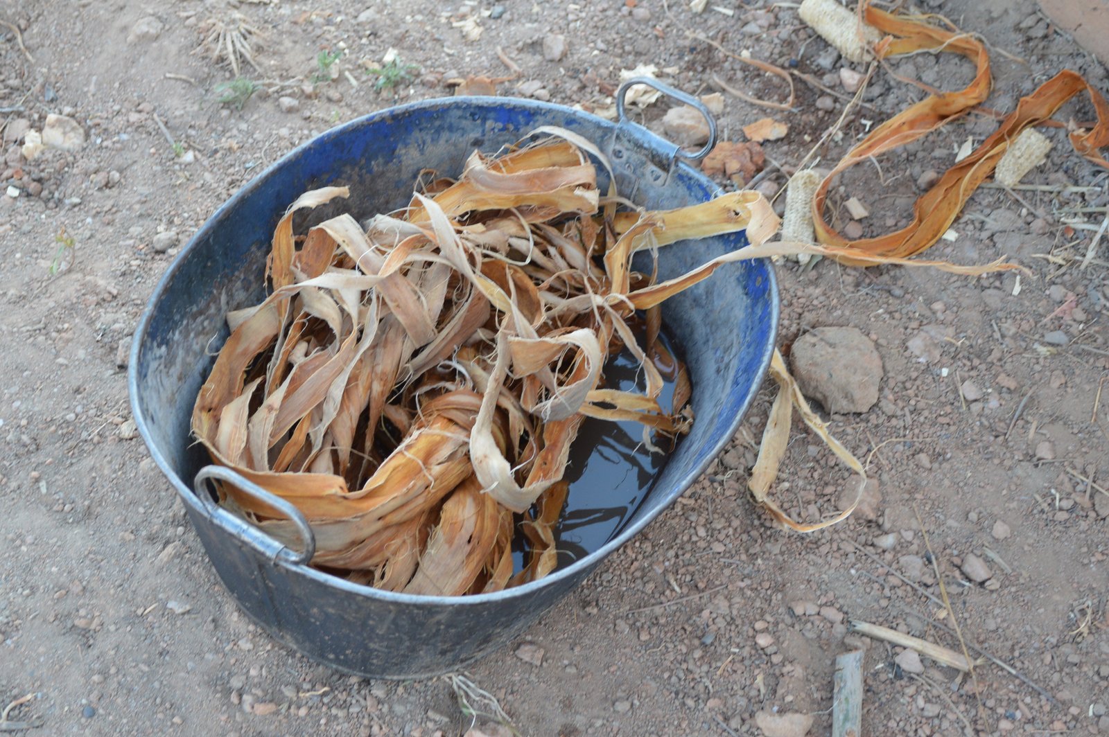 Mzikuwola, Nzimba (28).JPG