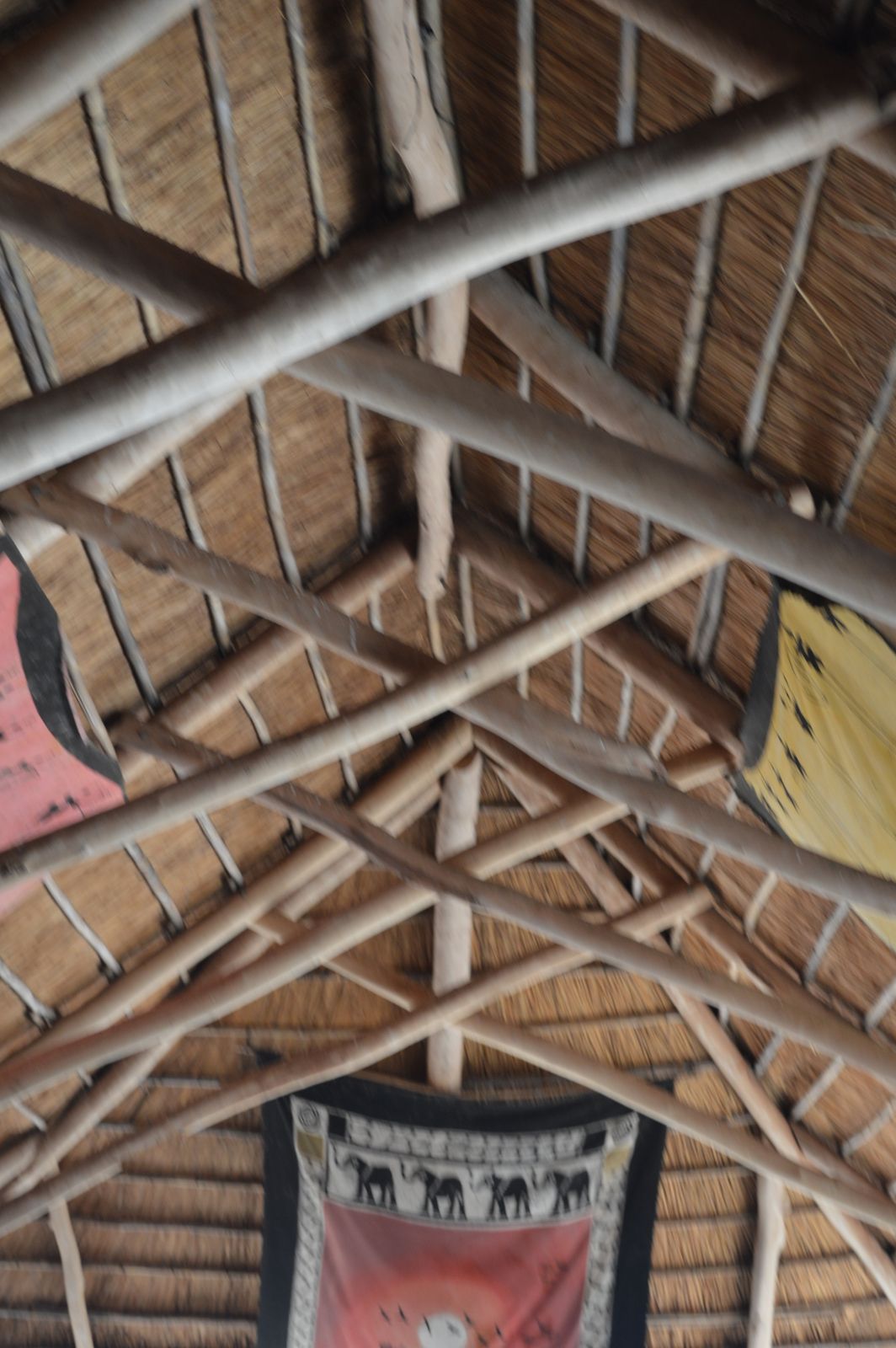 Gecko Lodge, Mangochi (12).JPG