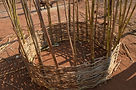 The basket for a grainery is being weaved with reeds in M'buka village Malawi, malawi architecture